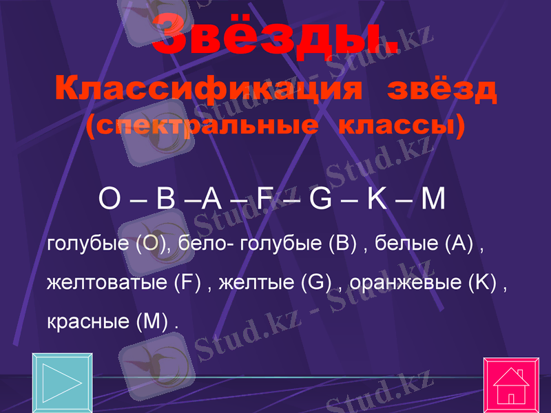 Slide 24