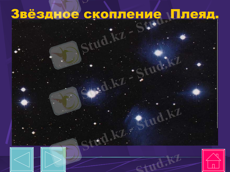 Slide 31