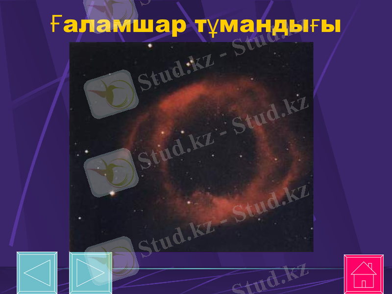 Slide 37