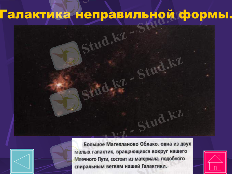 Slide 50