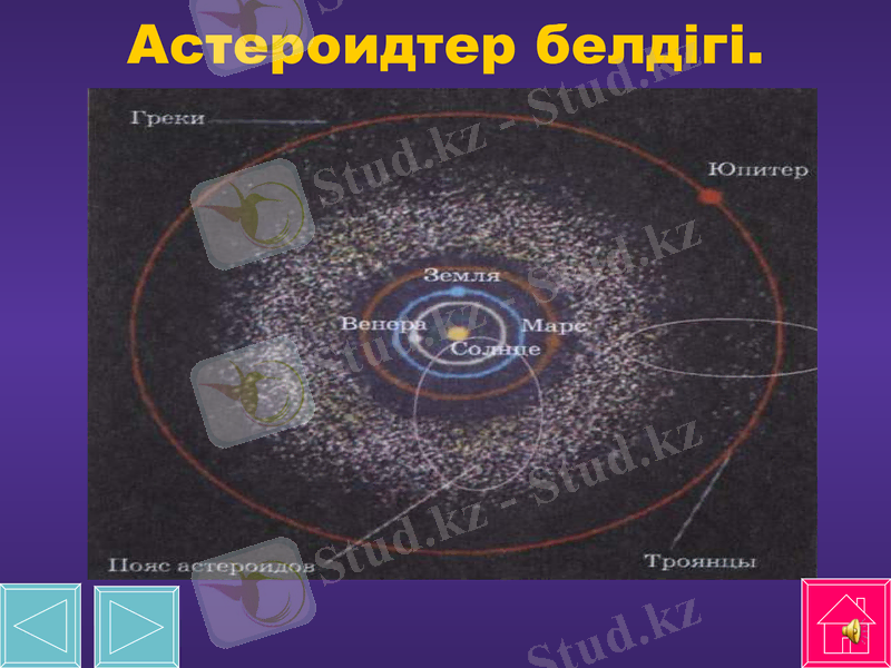Slide 7