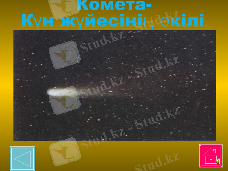 Slide 8