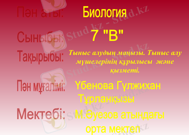 Slide 1