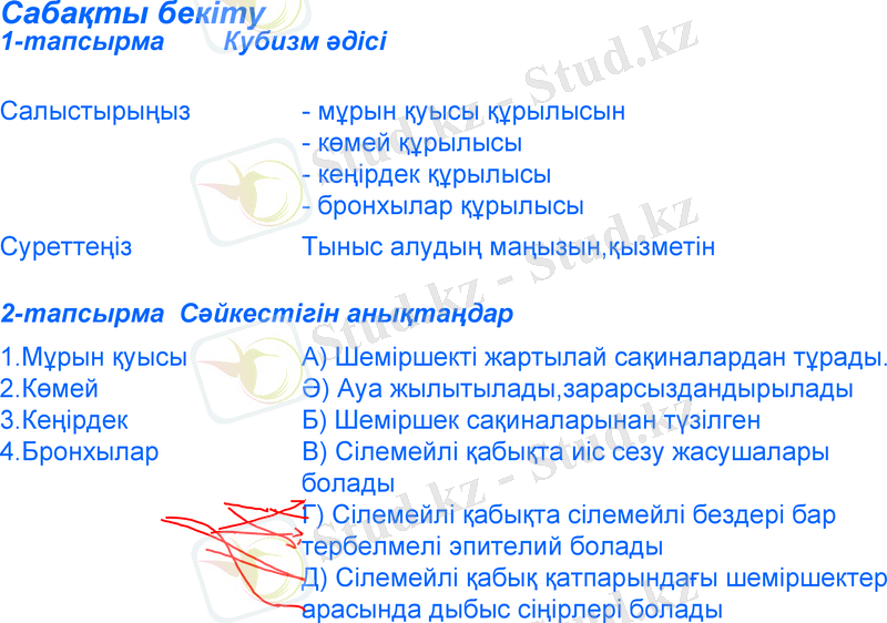 Slide 10