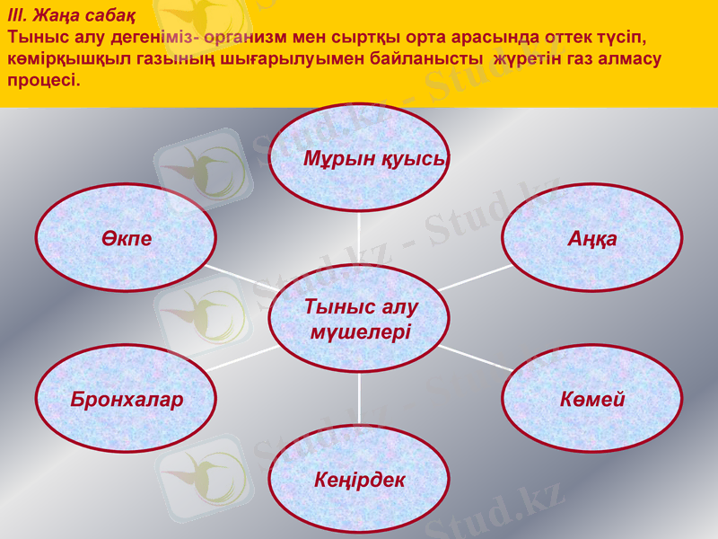Slide 6