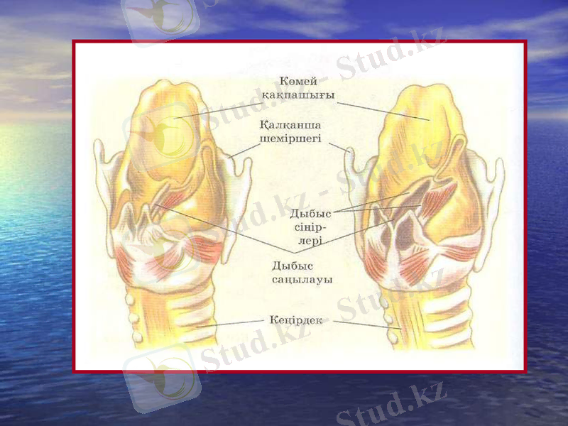 Slide 9
