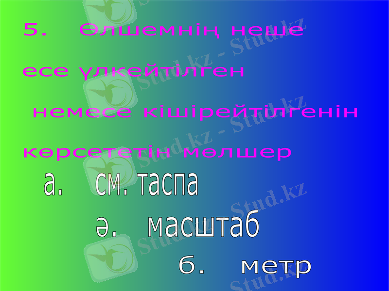 Slide 11