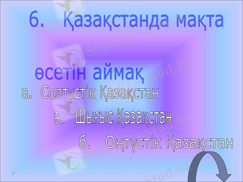 Slide 12