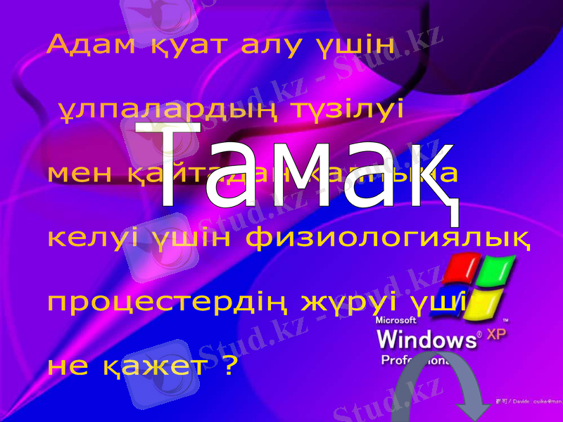 Slide 40