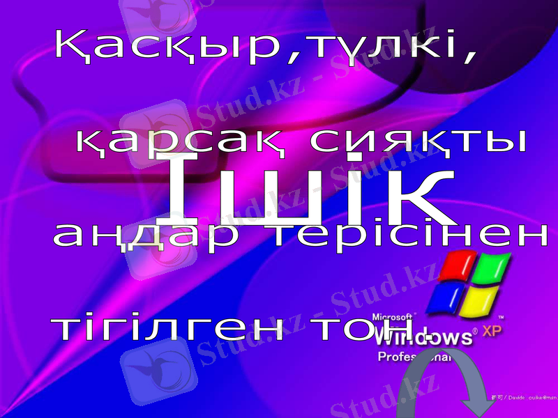 Slide 44