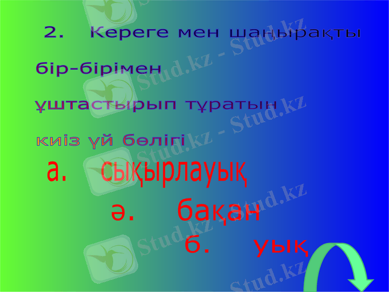 Slide 8