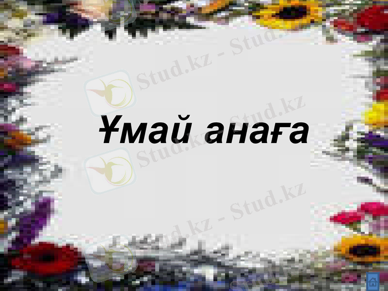 Slide 24