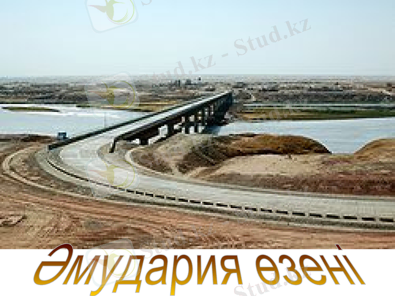 Slide 33