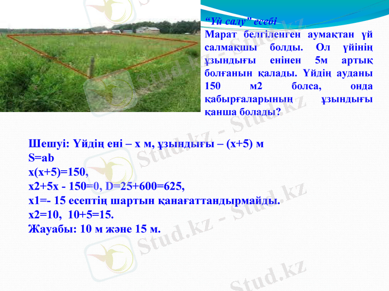 Slide 12