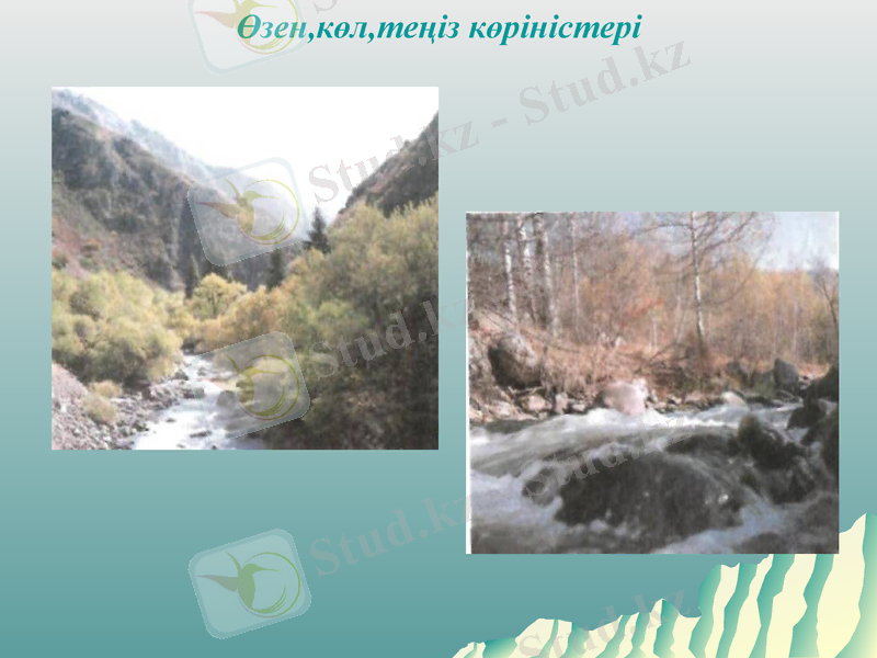 Slide 15