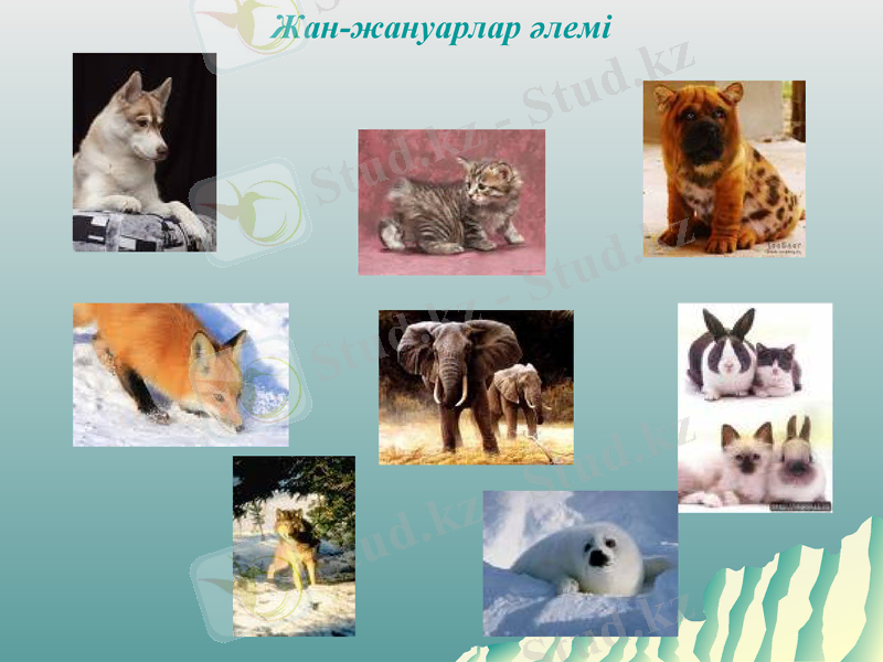 Slide 16