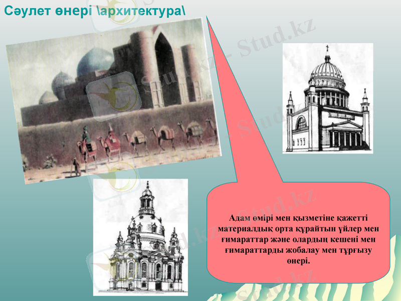 Slide 8