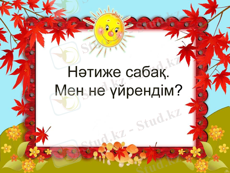 Slide 11