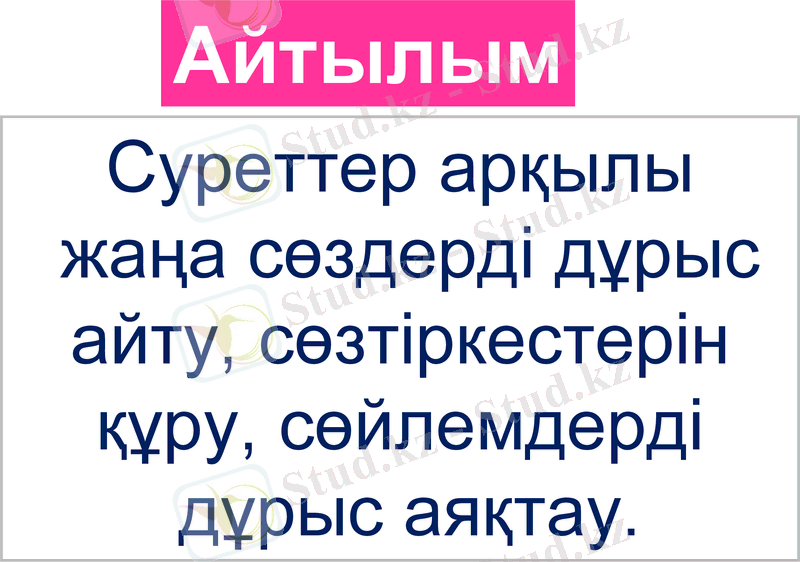 Slide 12