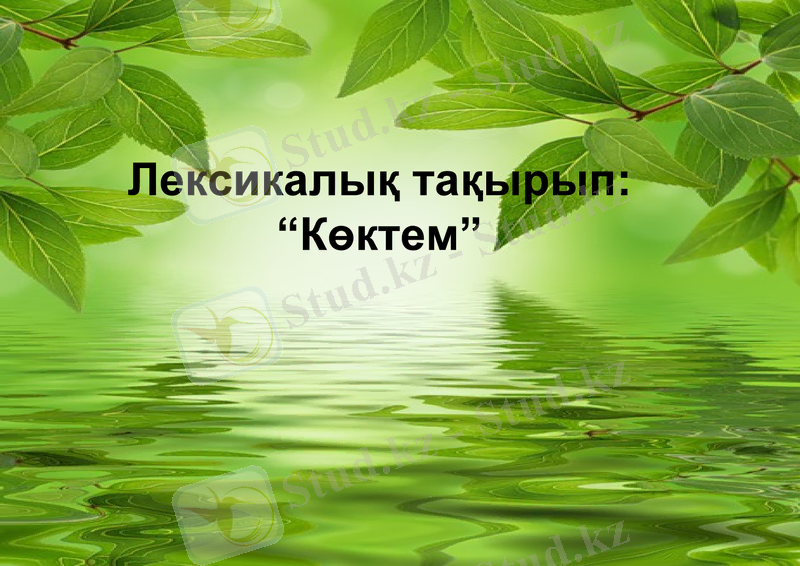 Slide 11