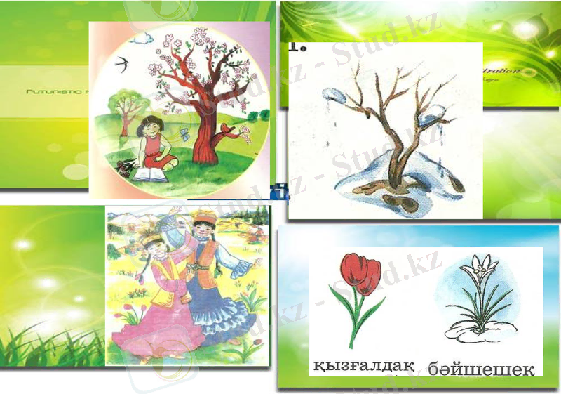 Slide 12