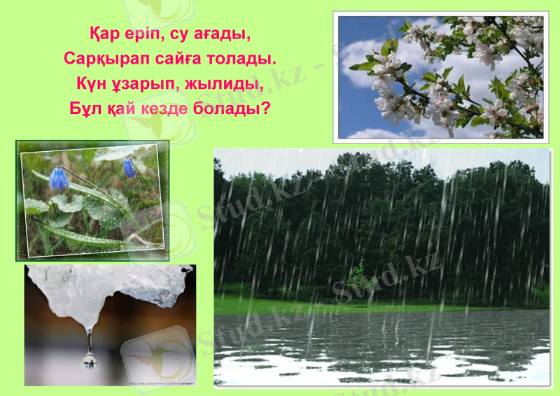 Slide 14