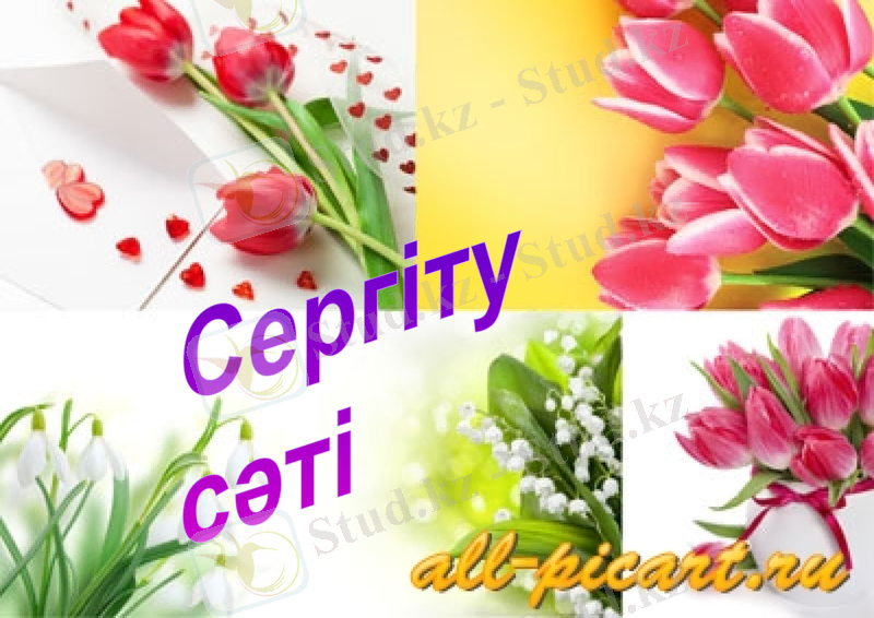 Slide 20