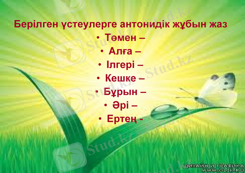 Slide 24