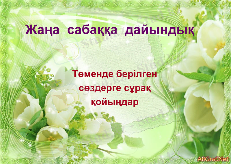 Slide 7