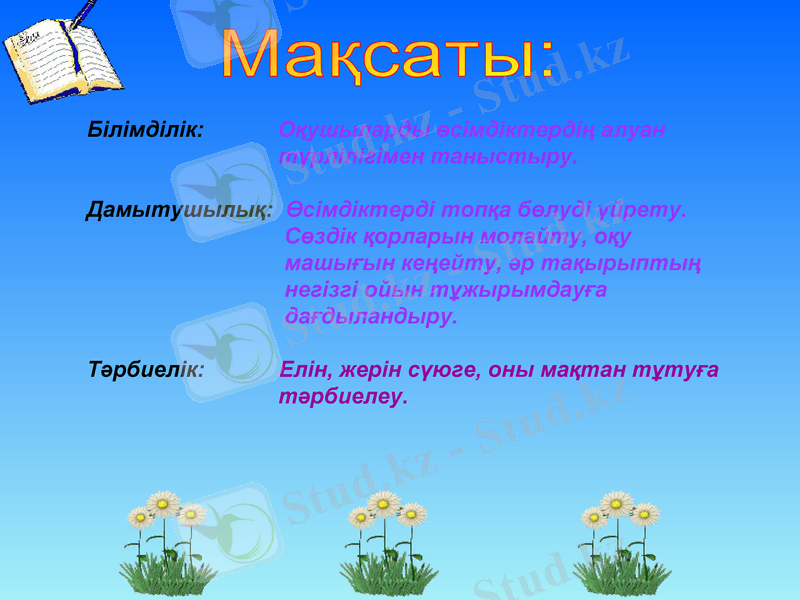 Slide 5