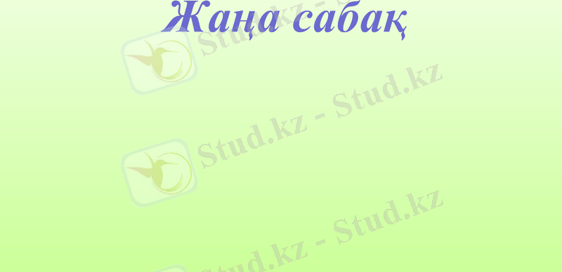 Slide 13