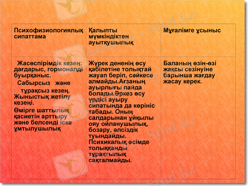 Slide 6