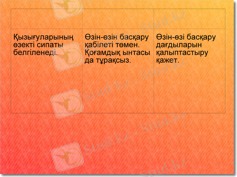 Slide 8