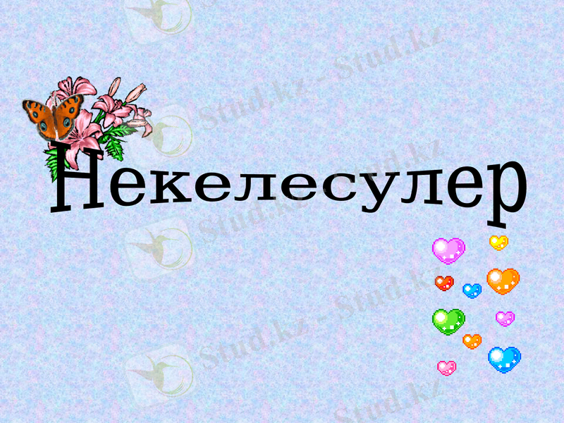 Slide 17