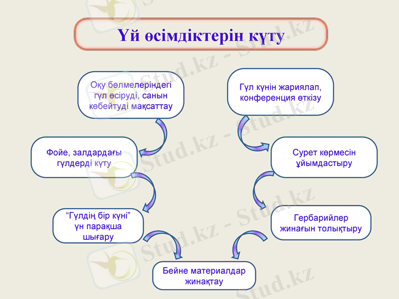Slide 10