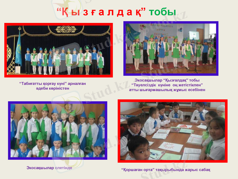Slide 12