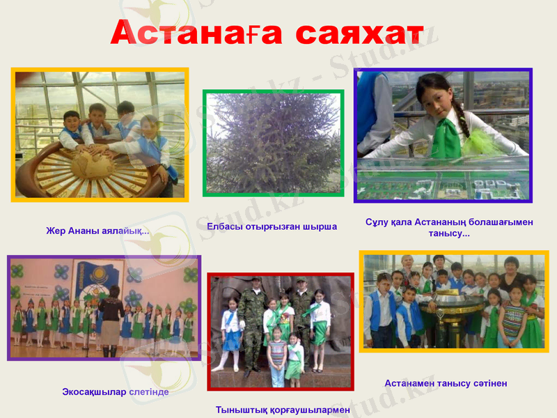Slide 13