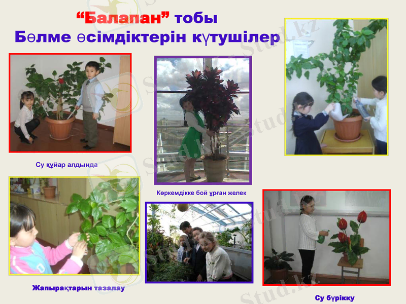 Slide 15