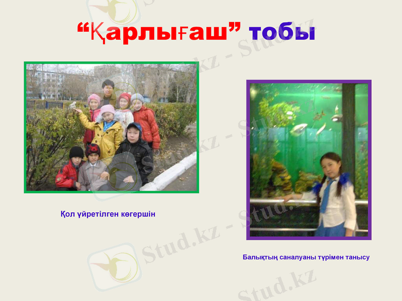 Slide 16
