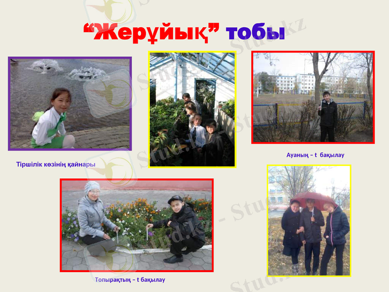 Slide 17