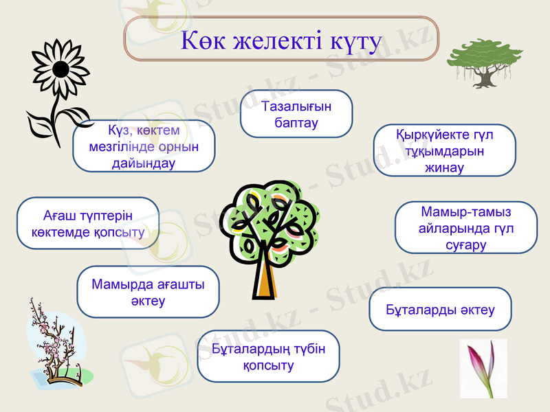 Slide 6