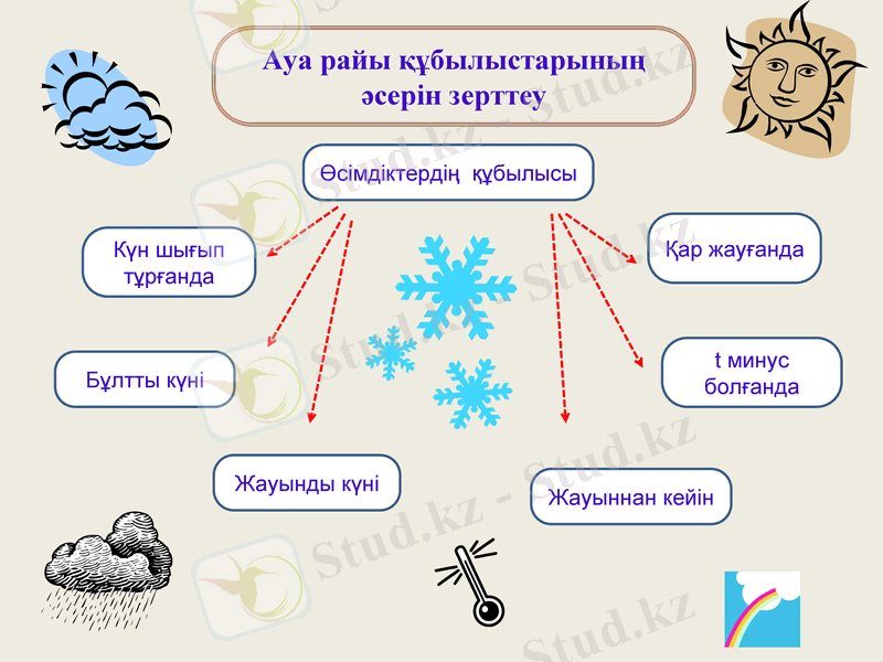 Slide 7