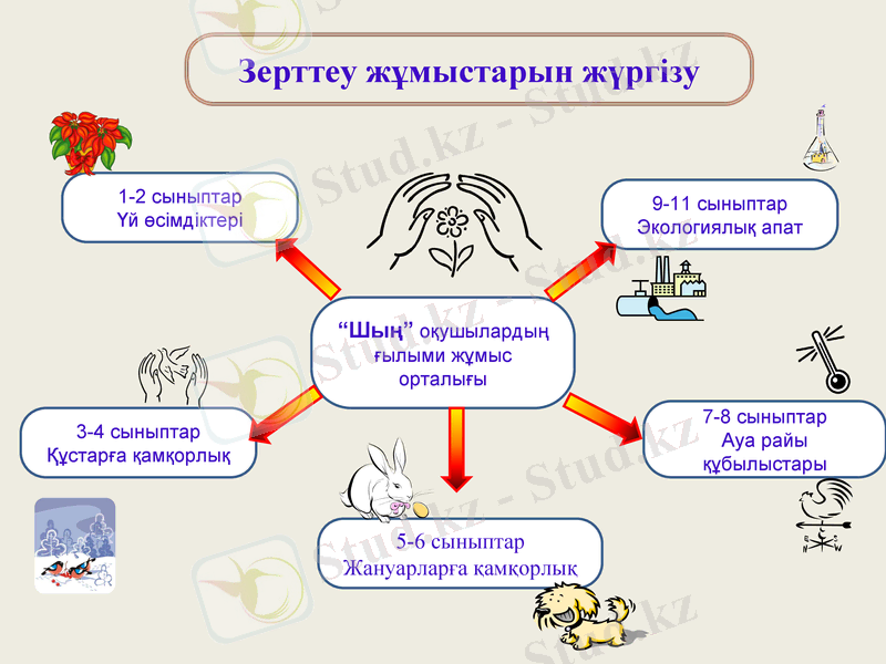 Slide 8