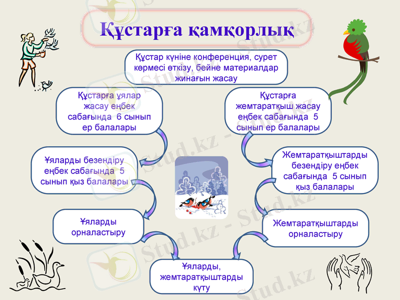 Slide 9