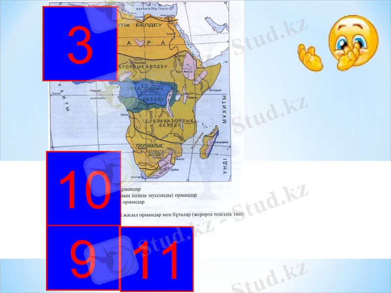 Slide 10