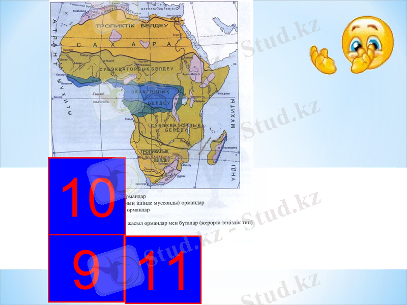 Slide 11