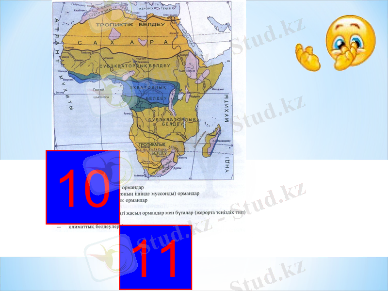 Slide 12
