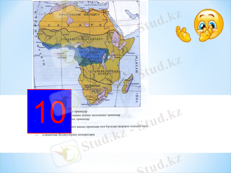 Slide 13