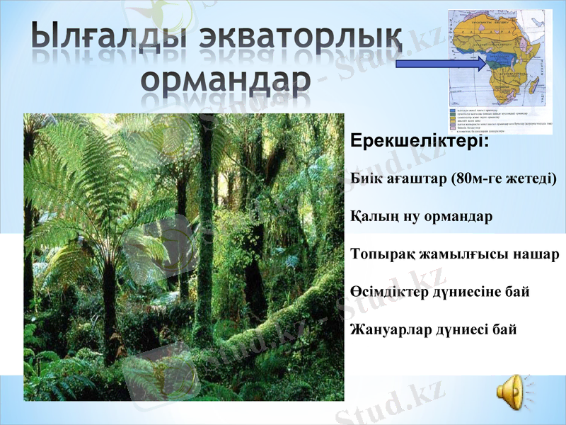Slide 28
