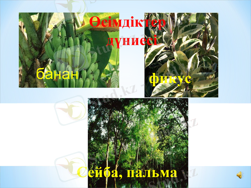 Slide 30